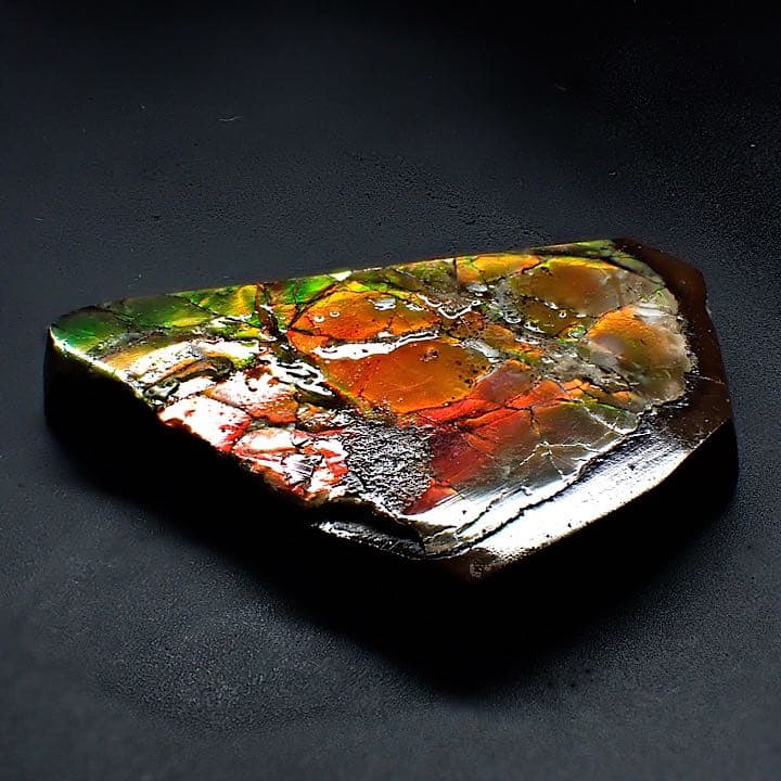 【カナダ/a産】アンモライト(プラセンチセラス)