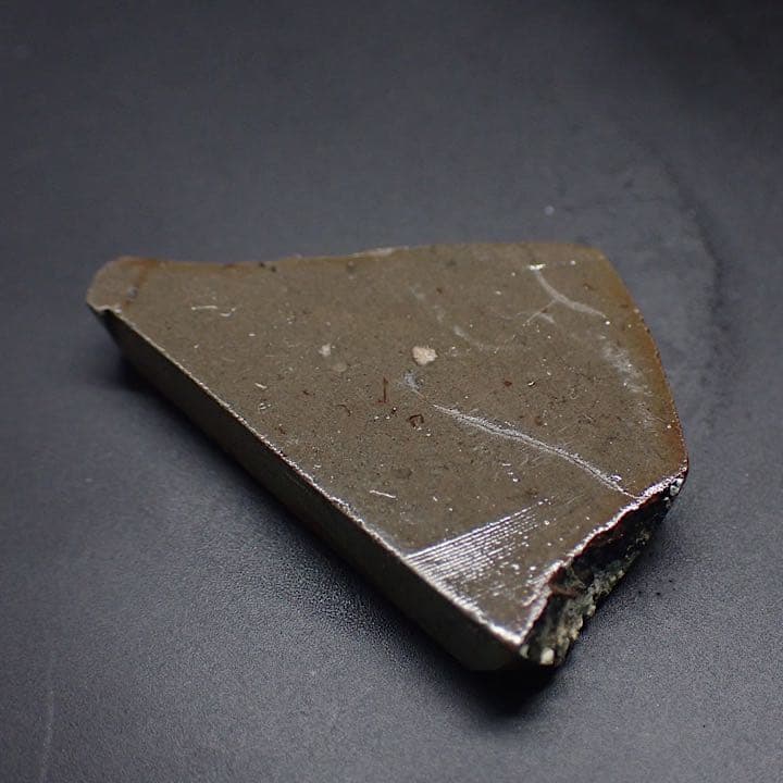 【カナダ/a産】アンモライト(プラセンチセラス)