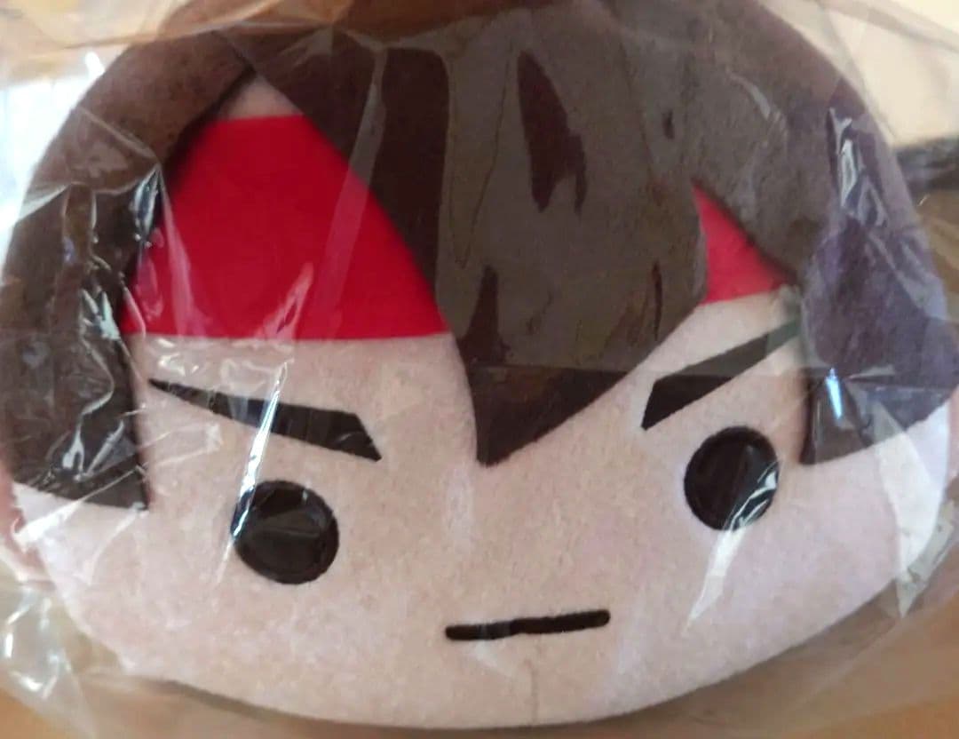 カプくじ　大逆転裁判　S賞　亜双義　カプころんメガBIGぬいぐるみ