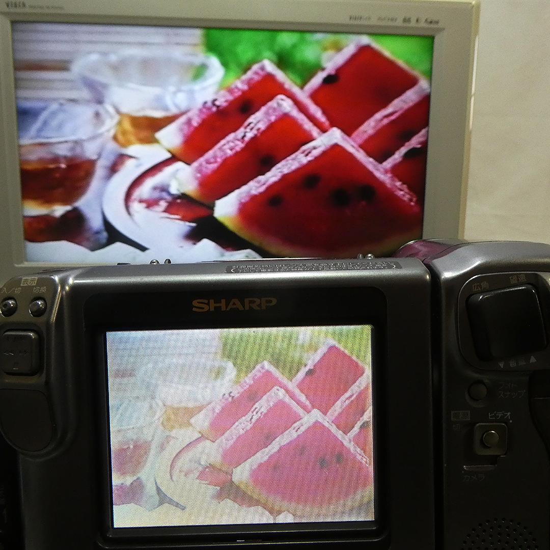 動作良好　VideoHi8 シャープVL-HL55 8ミリビデオカメラDVD化に