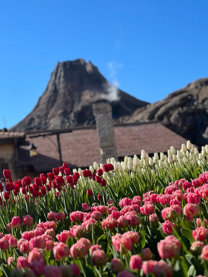 Fujifilm X-A5 ミラーレスカメラ 15-45mmレンズ付き