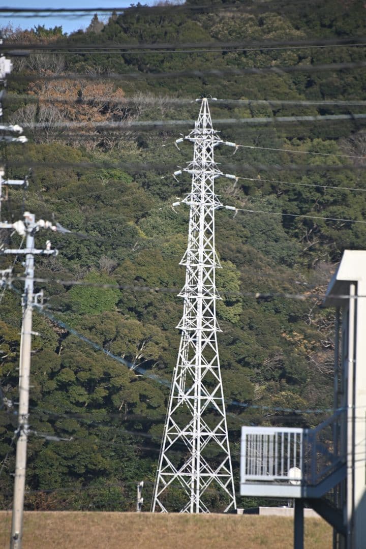 SIGMA 50-500mm F4-6.3 APO EX DG HSM ニコン用