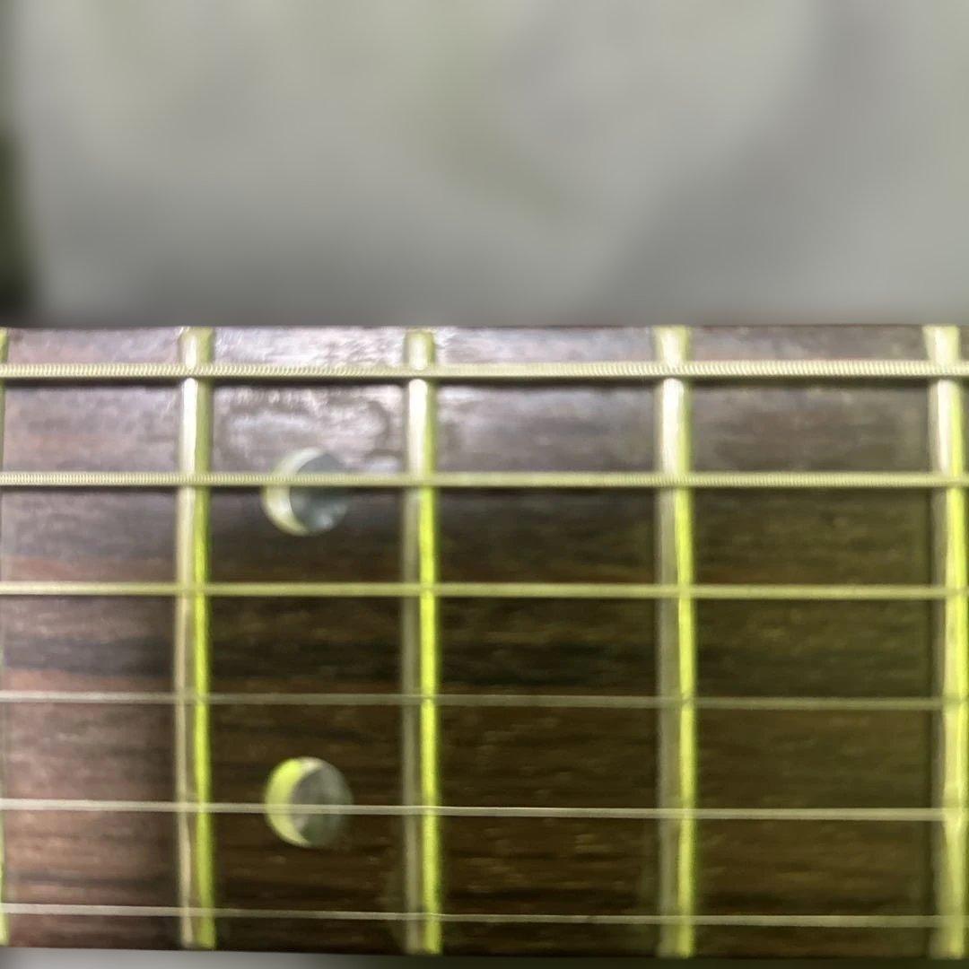 PRS SE Singlecut custom ポールリードスミスカスタム