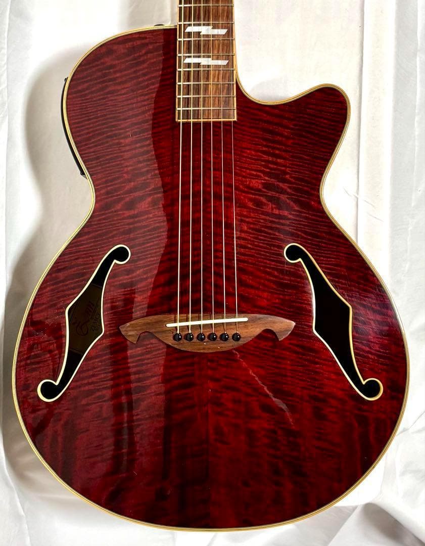 新品弦張替済　Zenn エレアコ ZF33CE fホール グローバーペグ美品