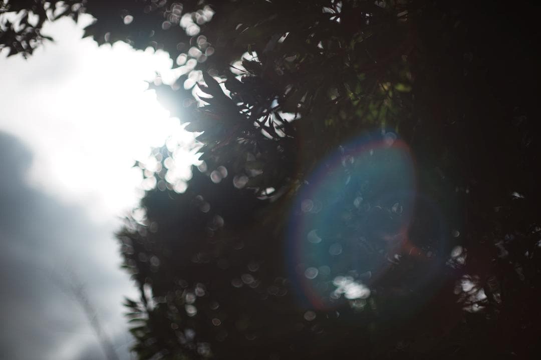 鷹の目の名玉　ミノルタ MC ROKKOR-PG 58mm F1.2 186