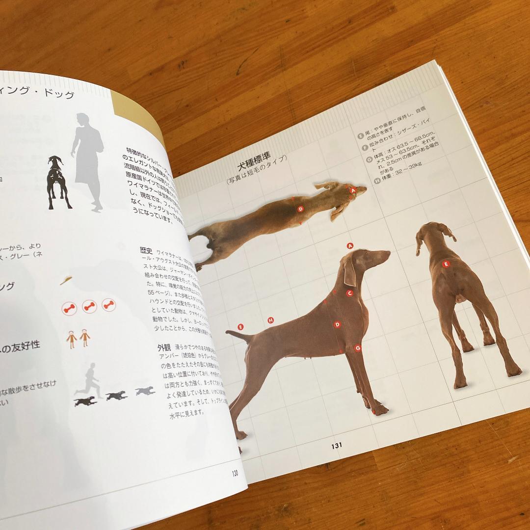 360°ビジュアル犬種大図鑑　世界の最新人気犬種のスタンダードがひと目でわかる
