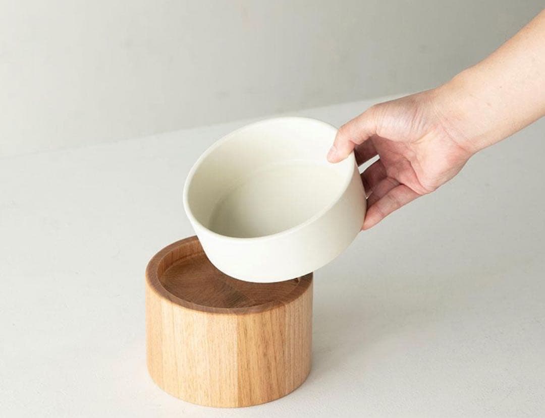 限定値下げ！&CAT | HM BOWL water bowl 絹 -kinu-