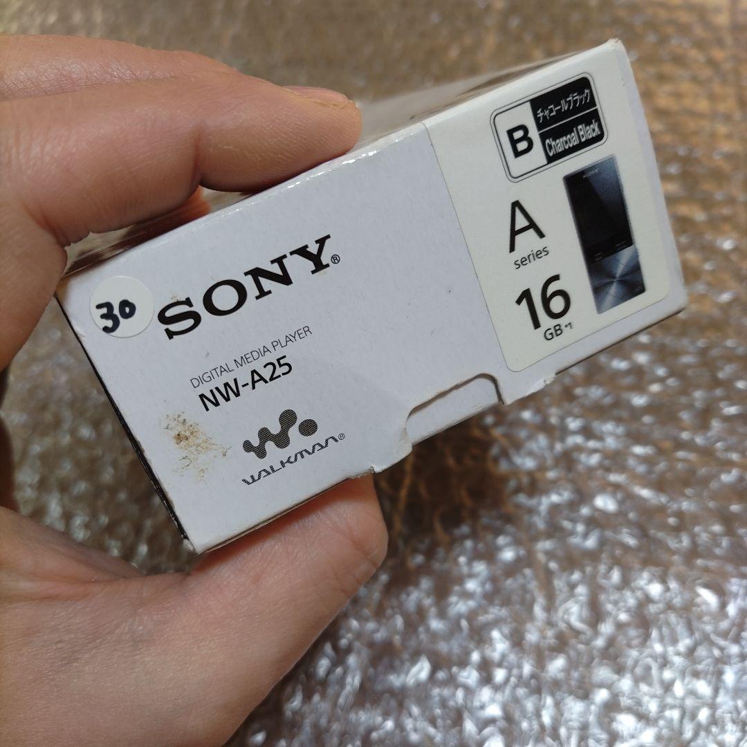 ソニーウォークマン　NW−A25　管理ナンバー9900