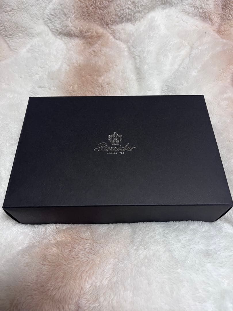 新品未使用 ピナイダー ラ グランデ ベレッツァ ロック 万年筆 グレー EF