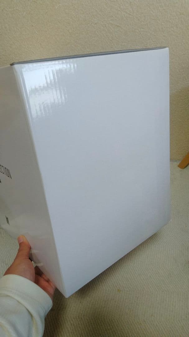 BTS V ARTIST-MADE MUTE BOSTON BAG テテ