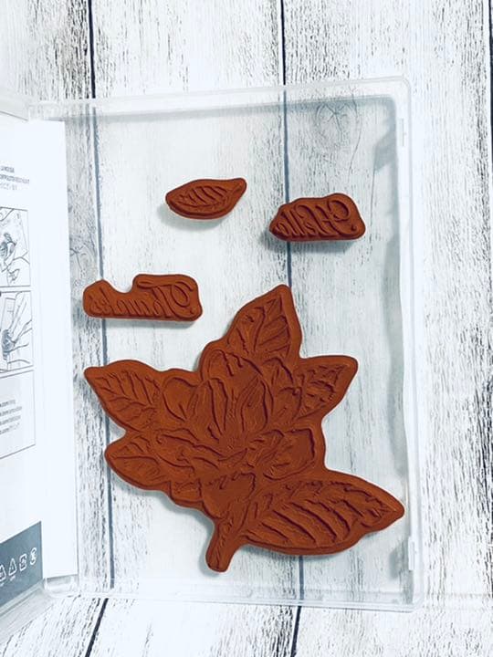 スタンピンアップ　GOOD MORNING MAGNOLIA セット