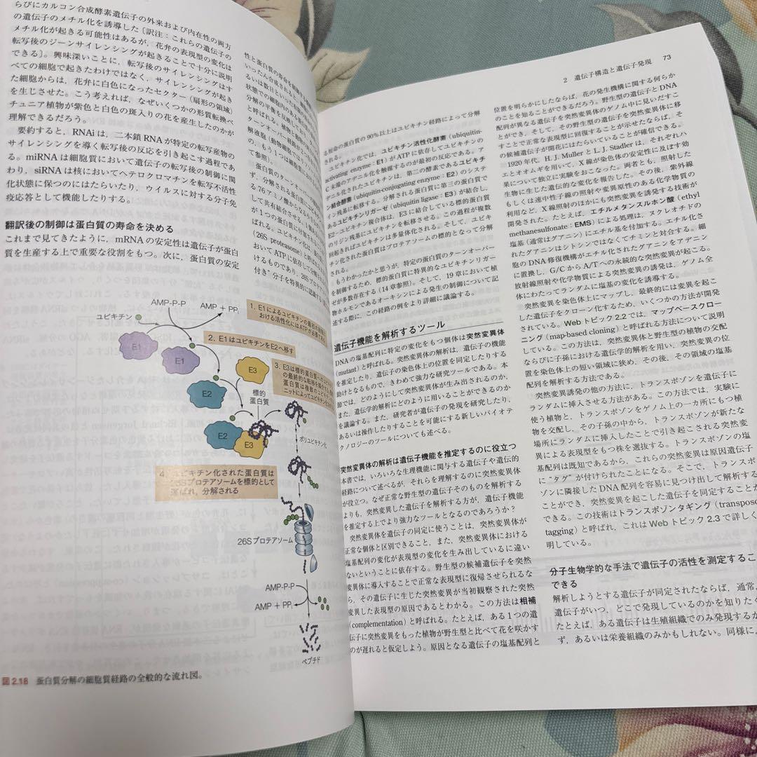 【新品未使用、美品】テイツ/ザイガー 植物生理学・発生学　テイツザイガー