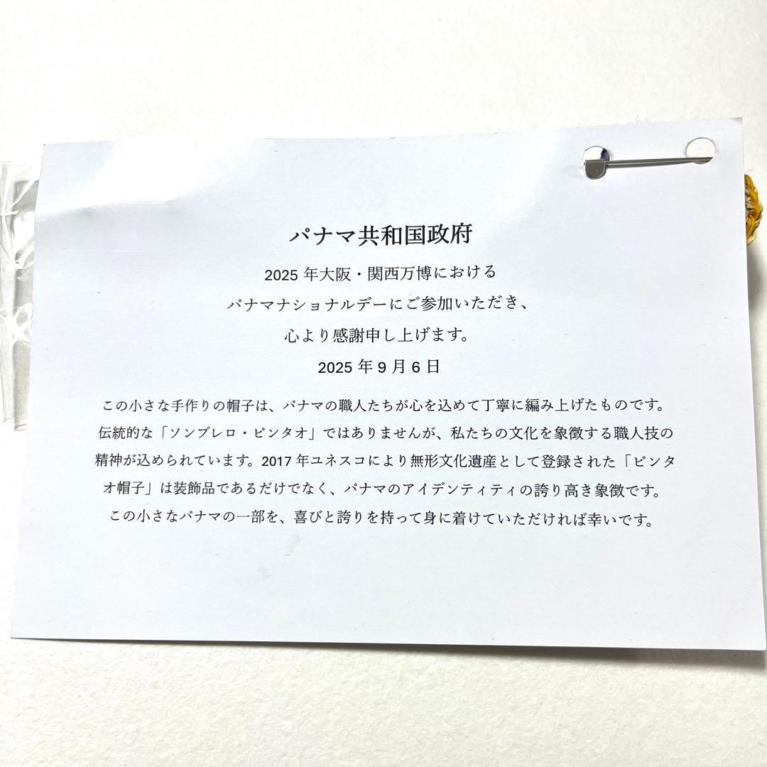 激レア非売品　大阪万博 2025 パナマ館 ナショナルDAY限定 ピンバッジ