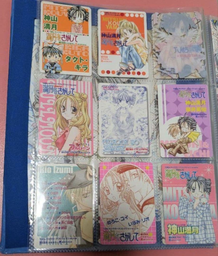 種村有菜 りぼん キャラクターカードコレクション バインダー カードファイル