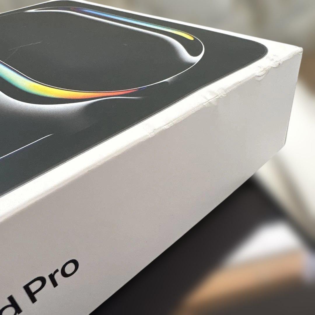 ぜ*ぃ様 iPad Pro 11インチ M4[256GB] セルラー SoftB