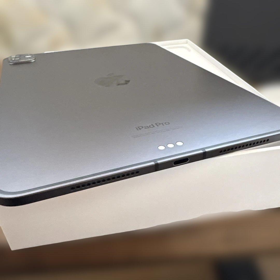 ぜ*ぃ様 iPad Pro 11インチ M4[256GB] セルラー SoftB