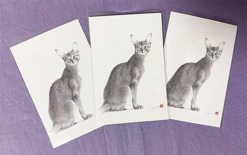 鉛筆アート「アビシニアン」オリジナル、真筆、1点物