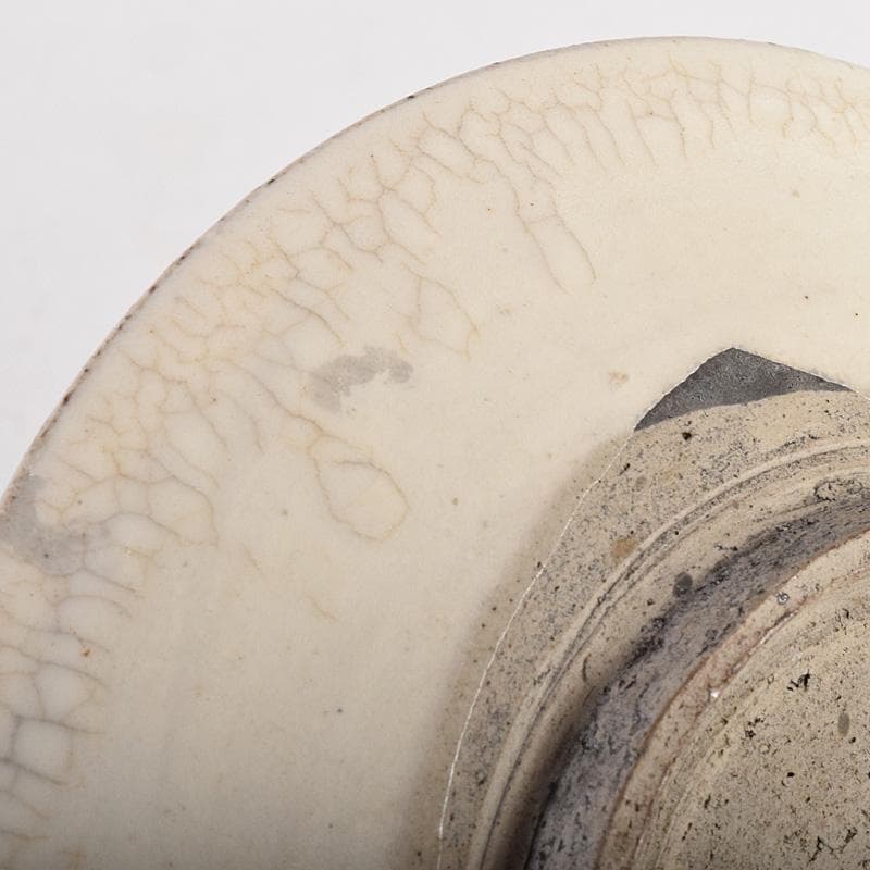 中国　赤絵　魚藻文盤　皿　V　R8757