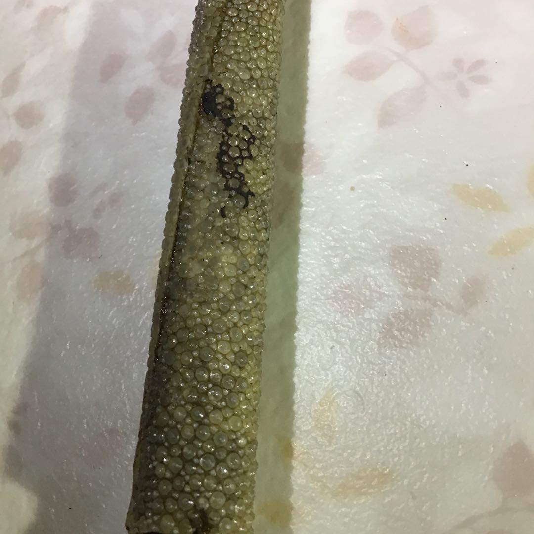 時代十手　柄鮫皮巻