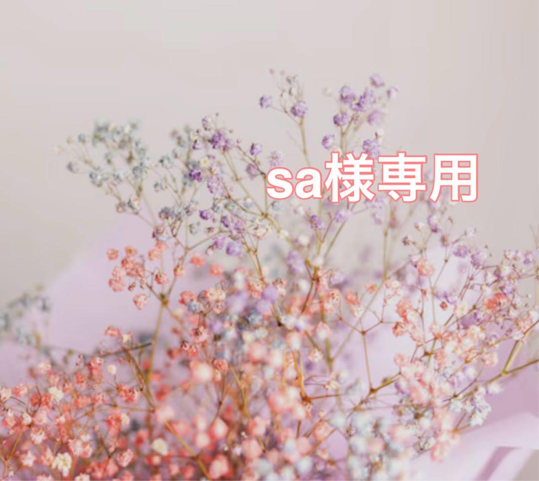 その他 sa