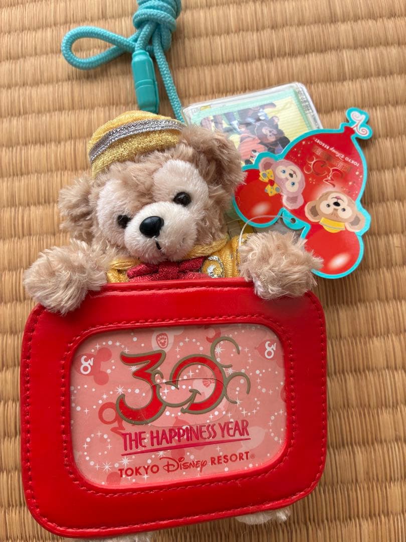 貴重！ディズニーリゾート パピネスイヤー ダッフィーパスケース 30周年　新品