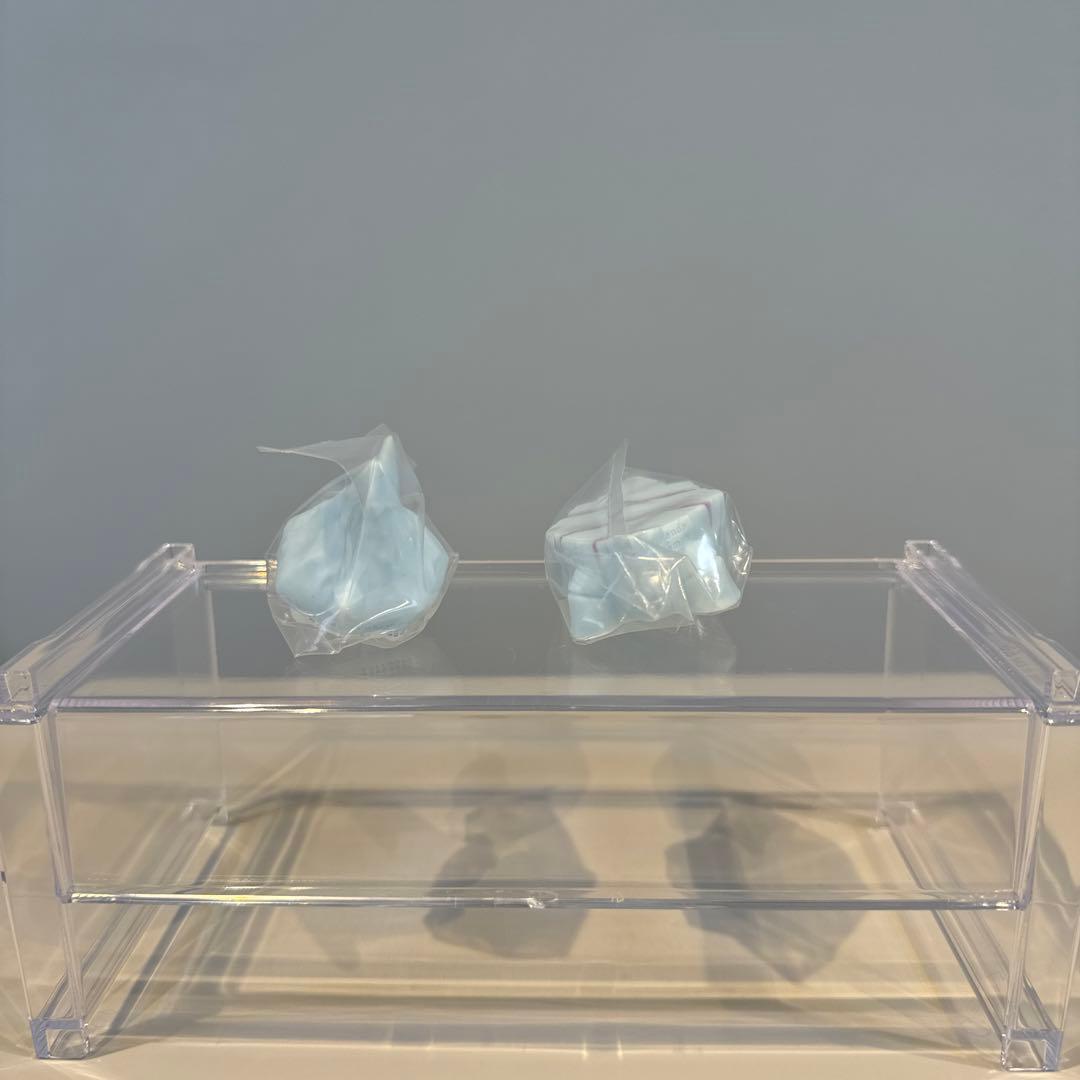 ポケモンキッズ　指人形　カロススペシャル　カチコール・クレベース　セット売り