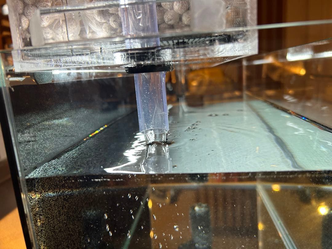 まりもアクリル水槽