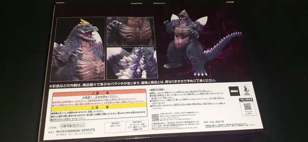 一番くじ ゴジラ怪獣乱舞 C賞 スペースゴジラ　他マグネット、アクレクト