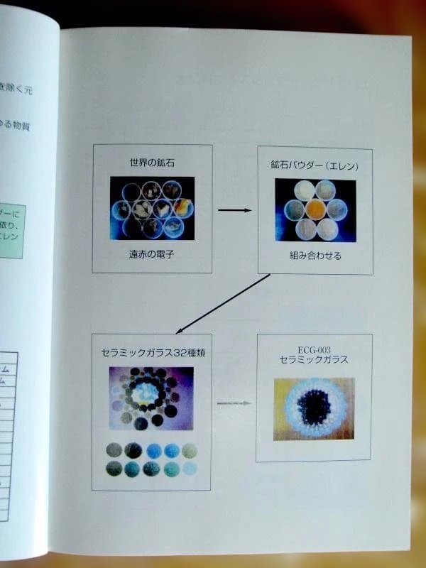 エレン関連の唯一の書籍　21世紀の生命の水・エレン酵生水 現在入手困難