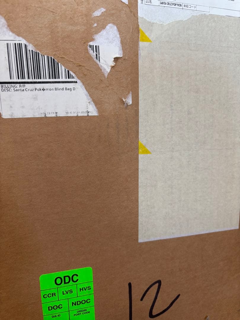 POKEMON SANTA CRUZ ポケモン サンタクルーズ 2本セット