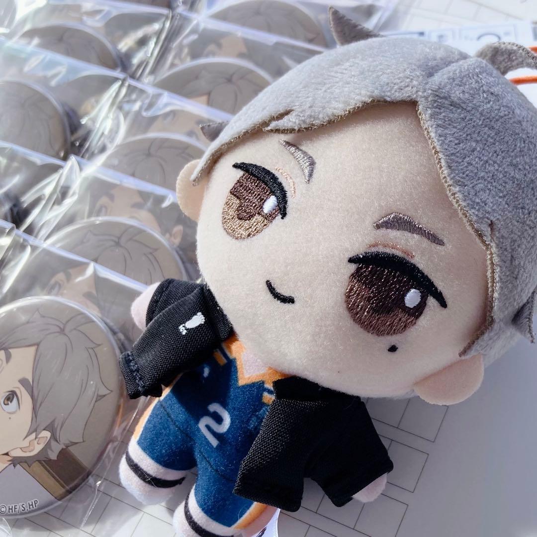 ハイキュー 菅原孝支 ぬいぐるみ 缶バッジ