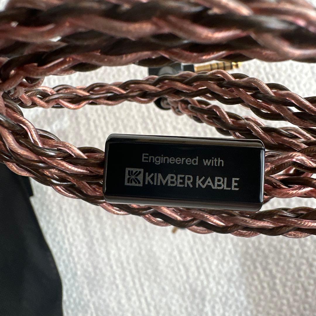 ソニー ウォークマン NW-WM1AM2 4点セット