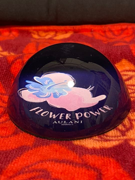 アウラニ・ディズニー・リゾート & スパ コオリナ　ミニー☆ ペーパーウェイト