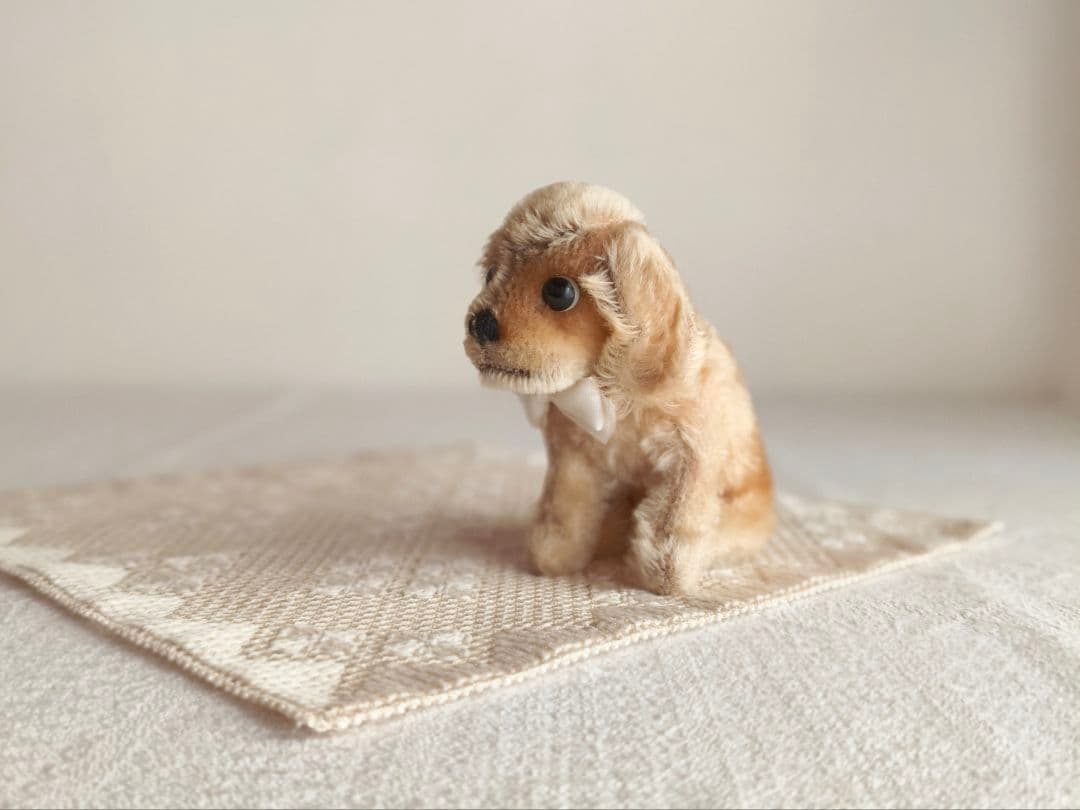 * vintage dogl ❀ きょとんとしたお顔が 可愛い ワンちゃん