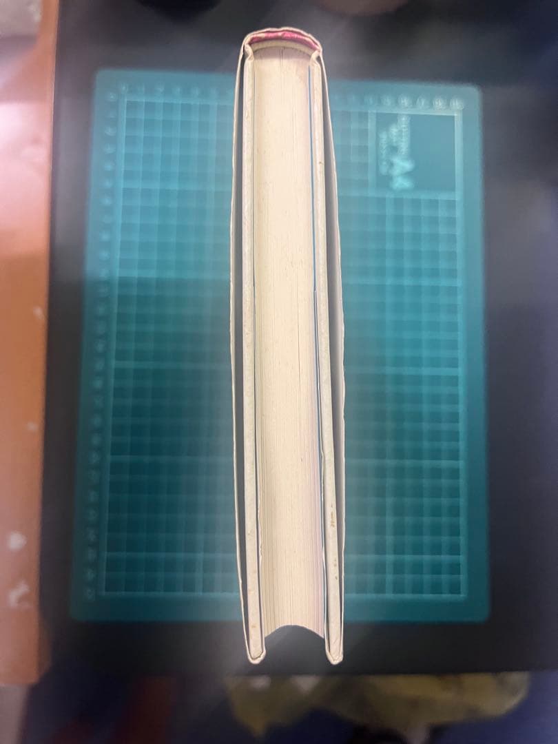 未来への発想法 政木和三著