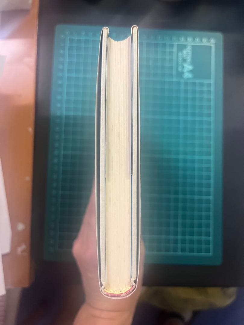 未来への発想法 政木和三著