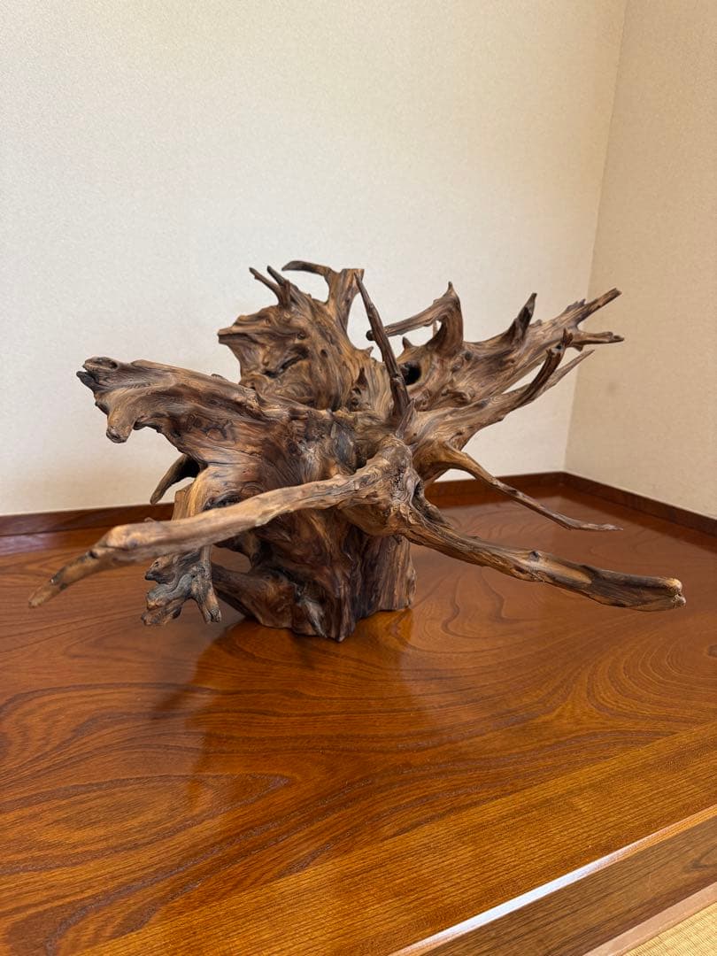とても美しい流木　特大　水槽　インテリア　美術品　アクアリウム　中庭　玄関