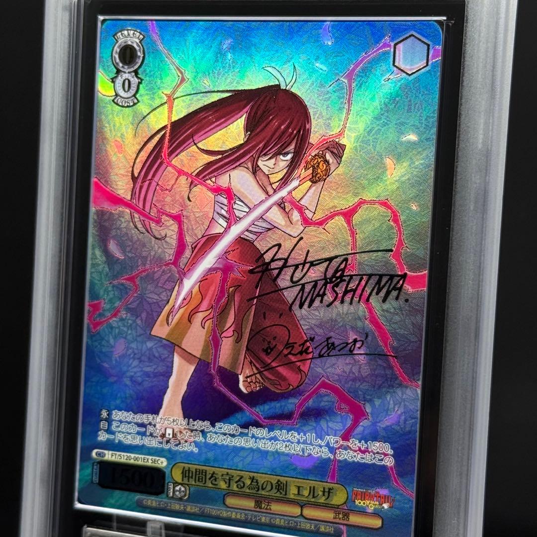 仲間を守る為の剣 エルザ SEC＋　ARS10＋　100年クエスト