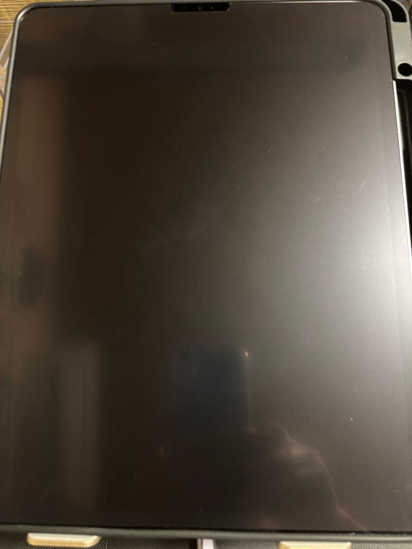 iPad Pro 12.9インチ 第6世代 256GB Appleペン付き