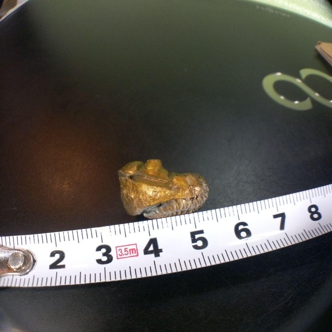 三葉虫　化石　fossil　ボリビア産　trilobite　南アメリカ化石郡①