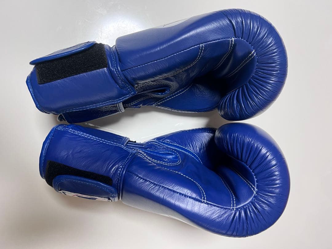 WINDY ボクシンググローブ 16 oz BGVH 青