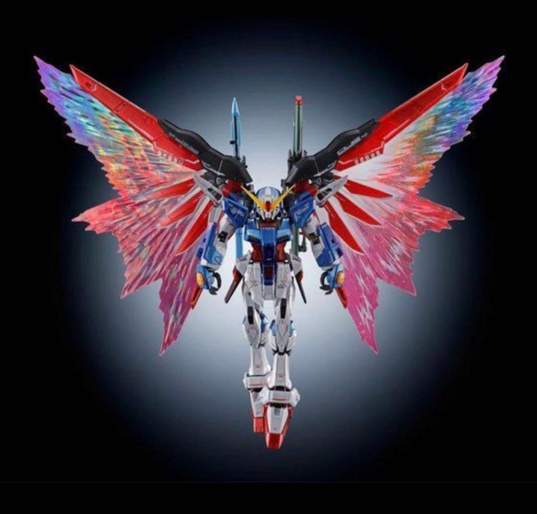 RG 1/144 デスティニーガンダム ［チタニウムフィニッシュ］光の翼セット