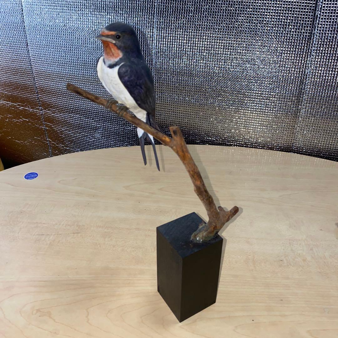 バードカービング