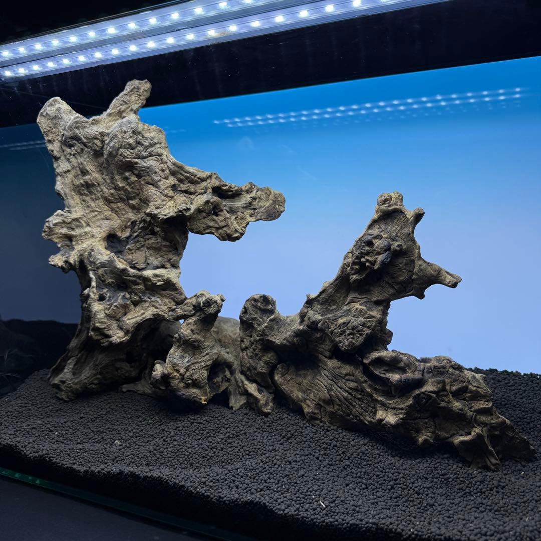 MJW-6882 ジンジャーウッド　レイアウトセット　天然流木　アクアリウム