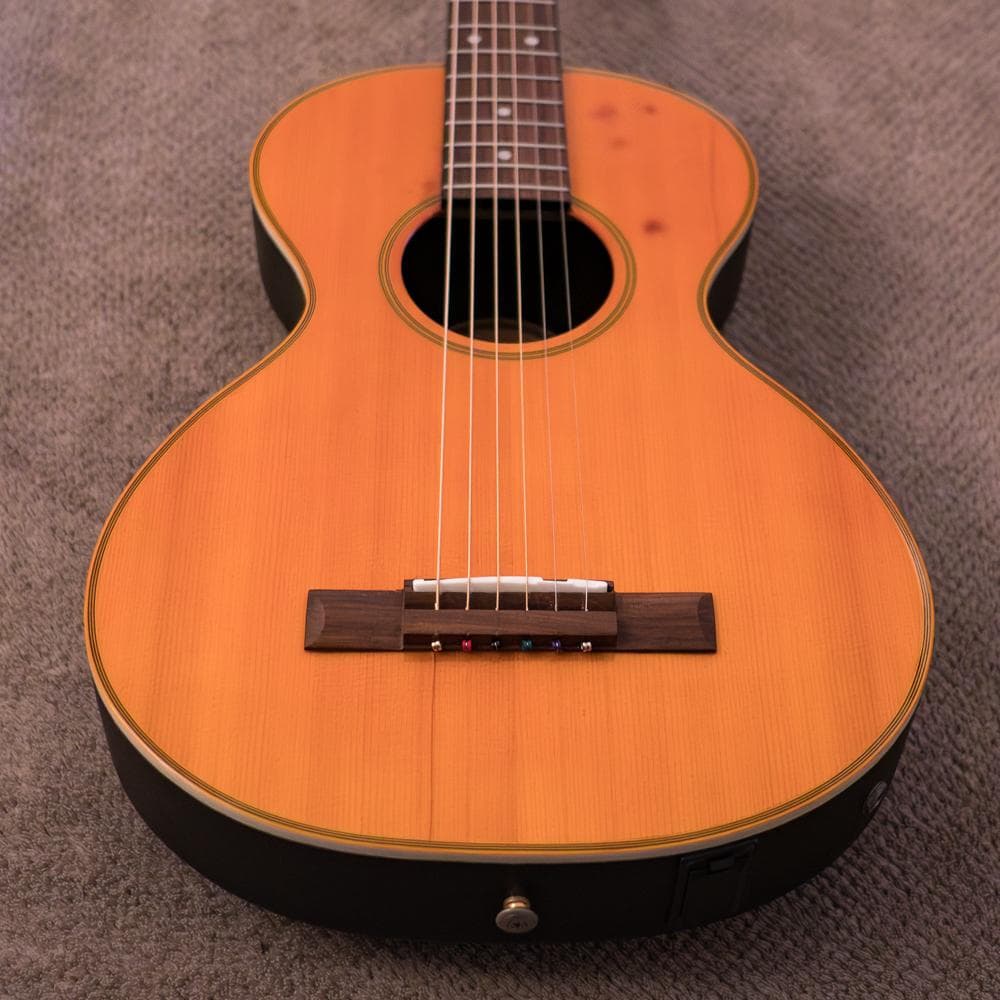 Stars & Strings SS－C10 OR フジゲン製エレアコ