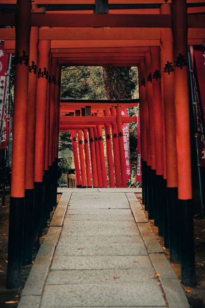 レンズ(単焦点) FUJIFILM FUJINON XF50mm F2 R WR