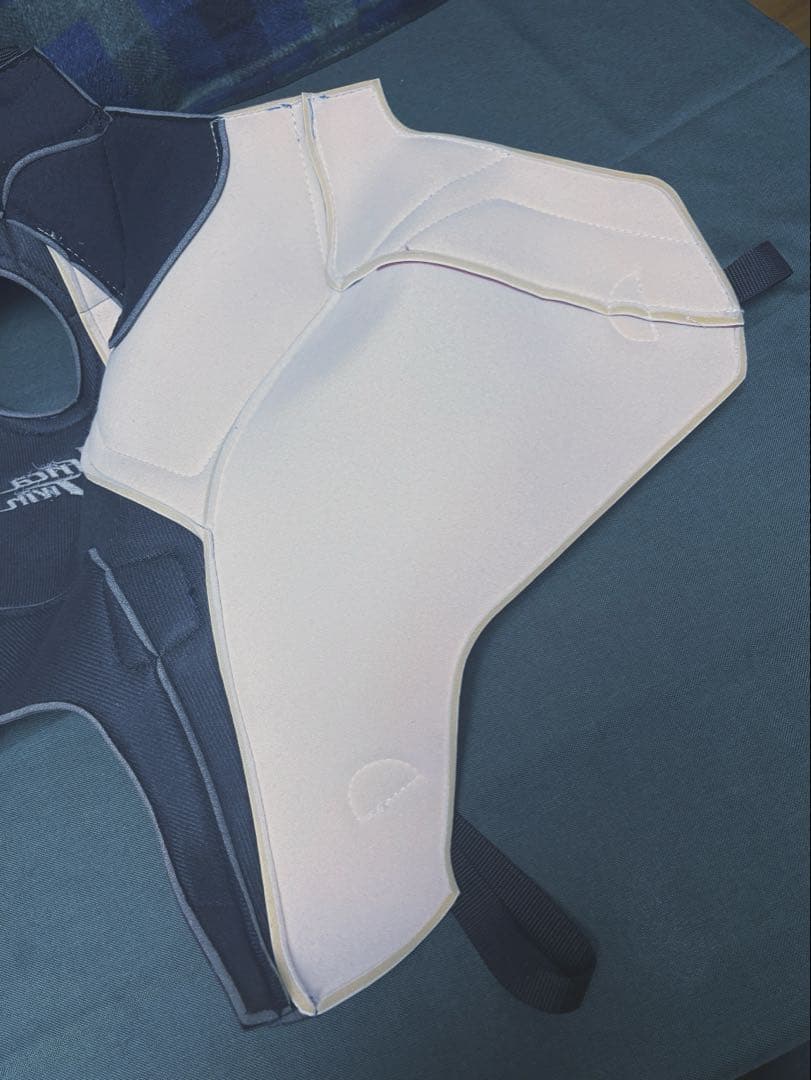 バグスター製タンクカバーアフリカツイン1100用