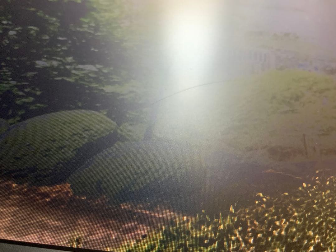 XL2430T BenQ 24インチワイド ゲーミングモニター 144Hz