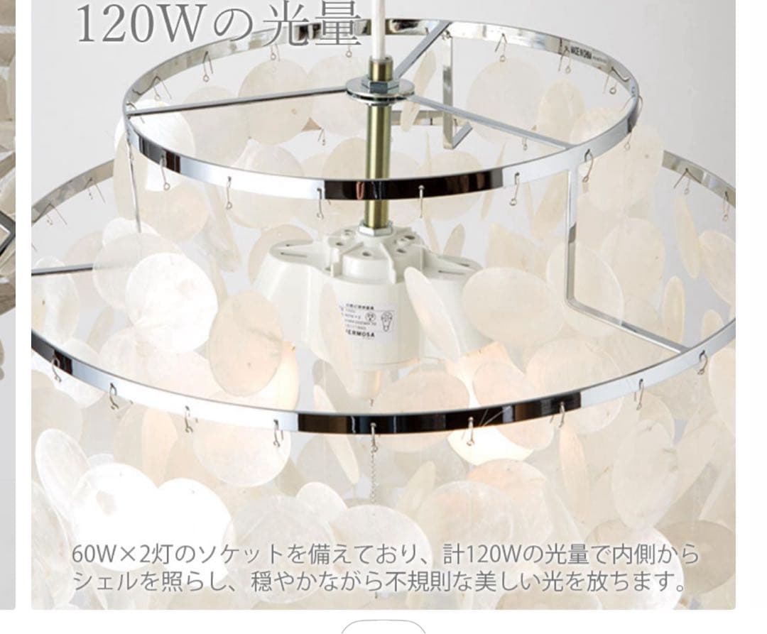 〔ビア〕ハモサ　カマクラ hamosa 貝殻　シェル照明　ライト