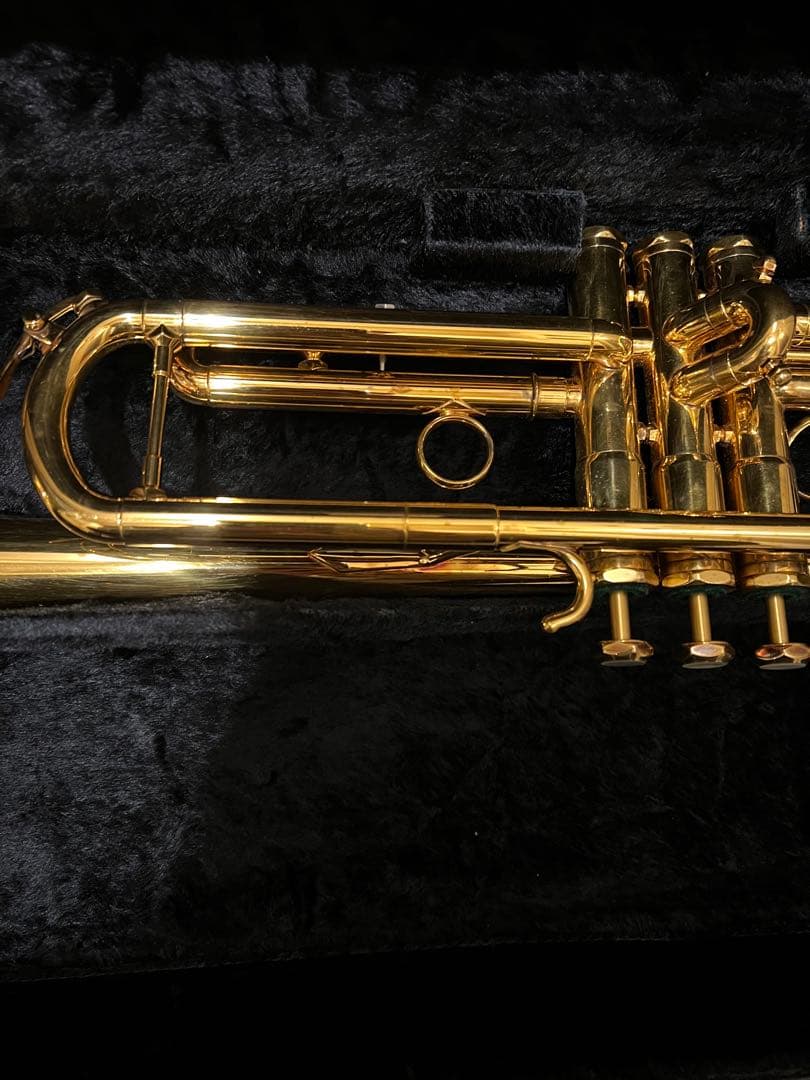 シルキー　 S22 GP 美品！送料無料！